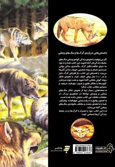 دانستنی هایی درباره گرگ ها و سگ های وحشی